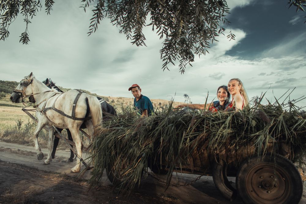 Photograph by Andrei Gavrilita