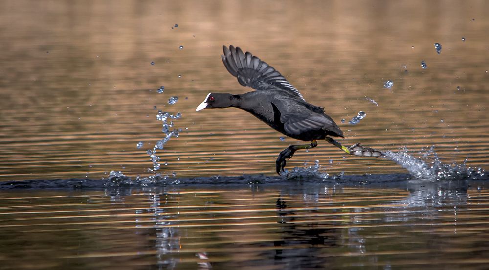 Фотография автора Юрий Юрьев