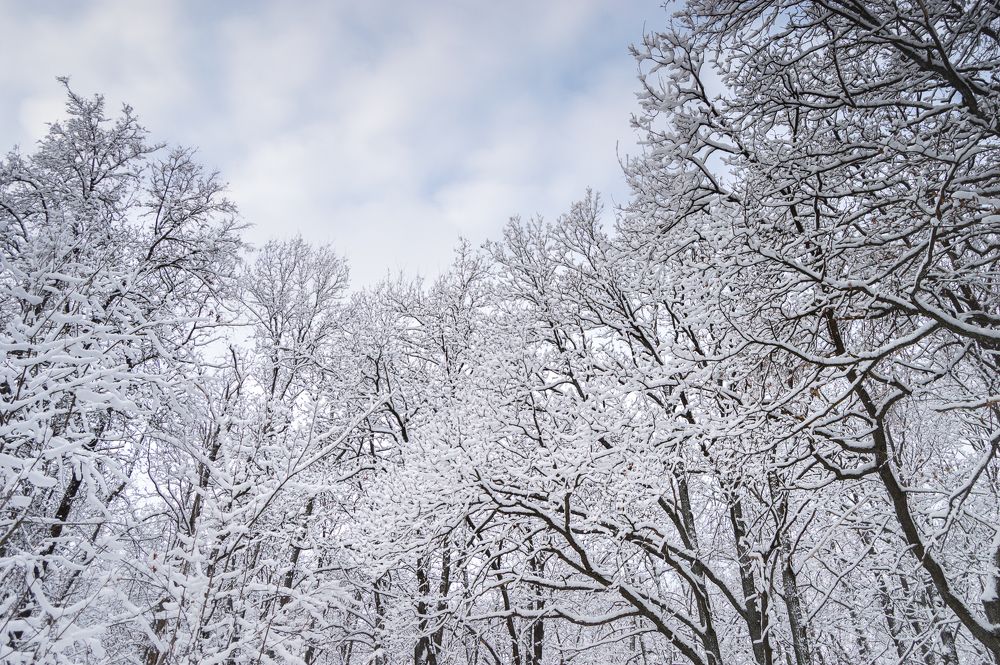 Photograph by Анастасия Суравикина