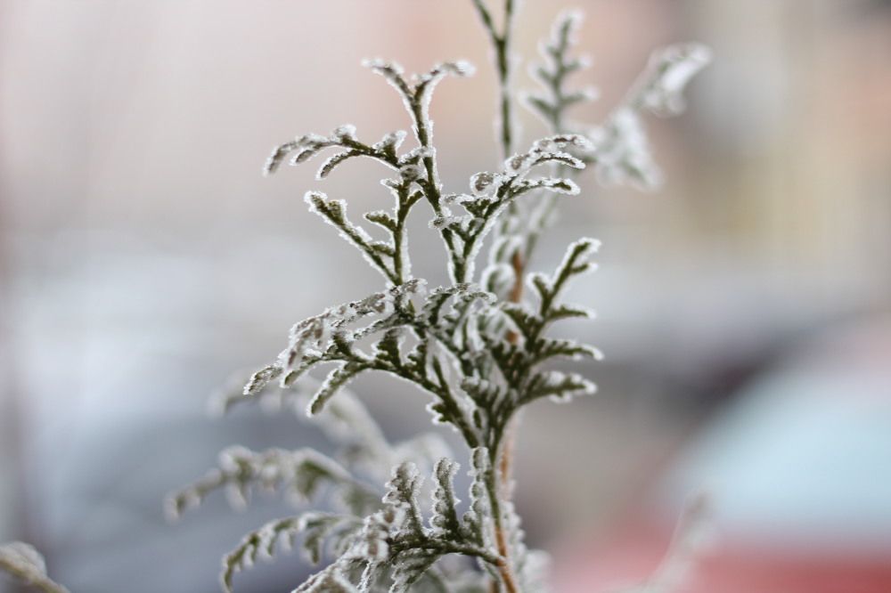 Photograph by Глеб Мацак