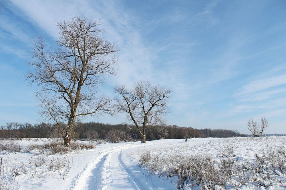 Photograph by Galina Tsmyg