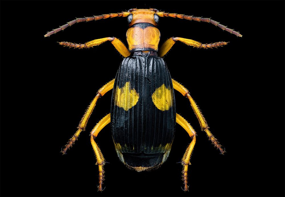 Photograph by Khalid Al-Wadhaihi