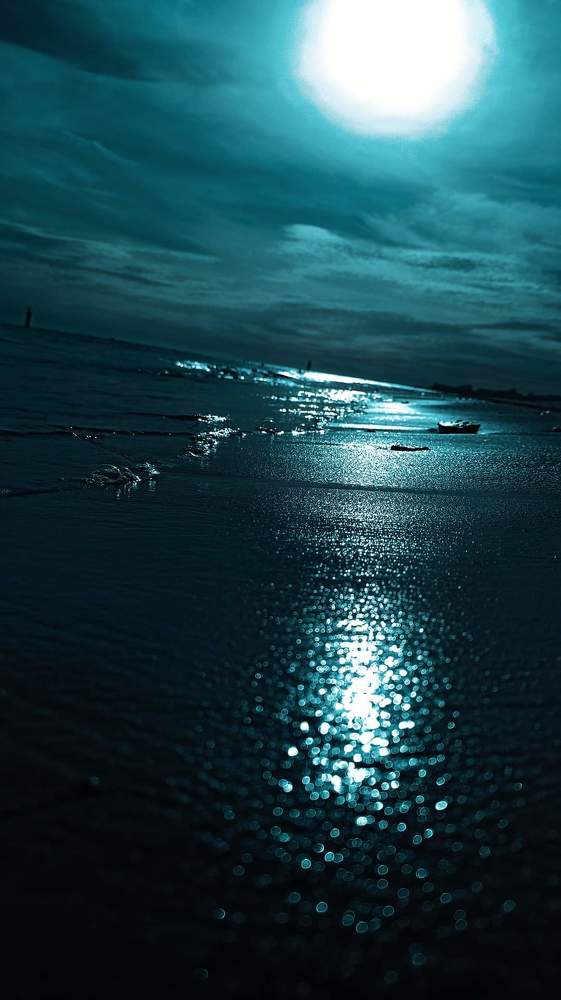 Photograph by Rjiba Kassem