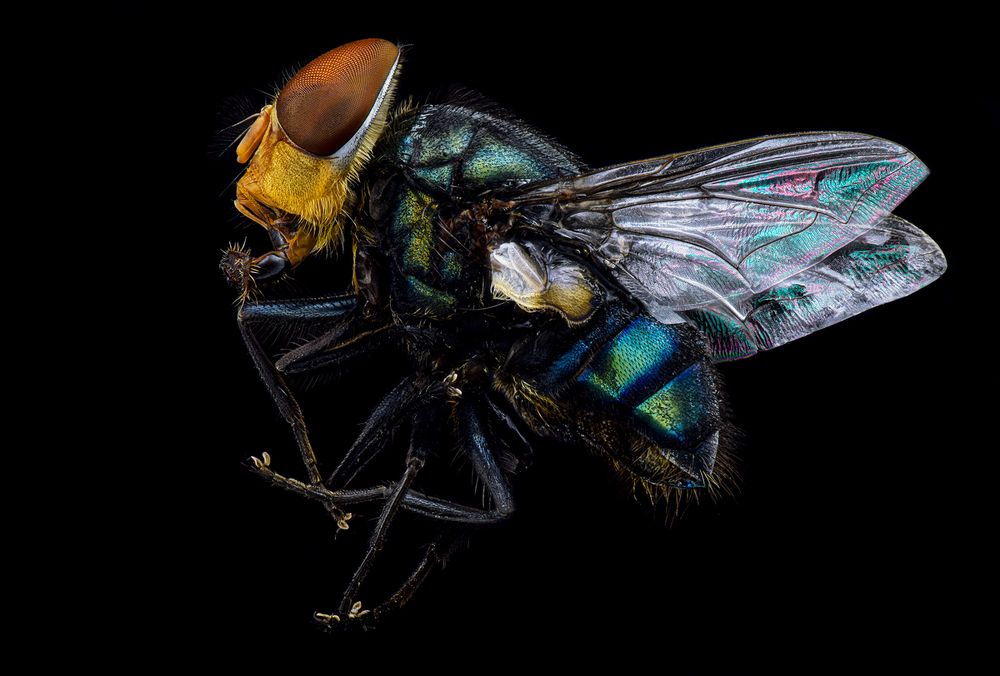 Photograph by Khalid Al-Wadhaihi