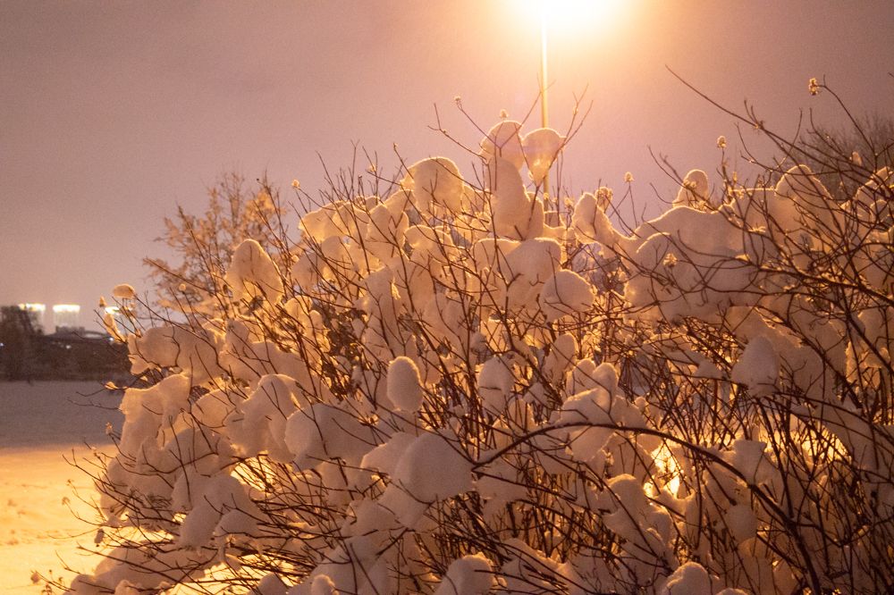 Photograph by Наталья Шпак