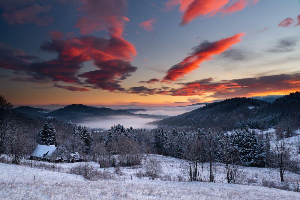 Photograph by Michał Sośnicki