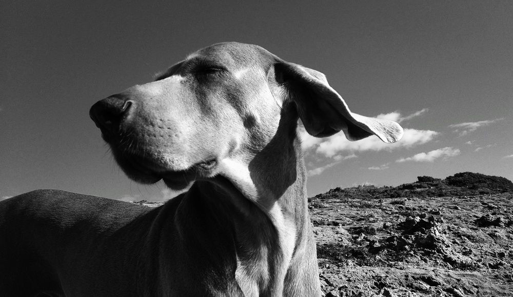 Photograph by Dominik Michalak