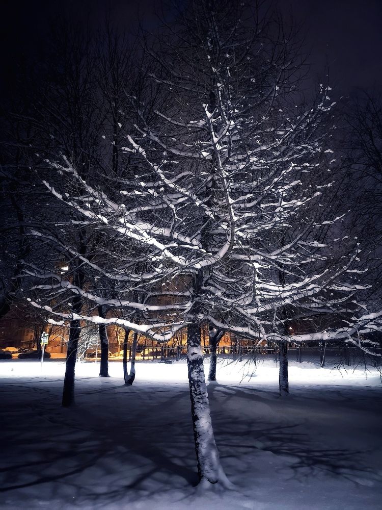 Photograph by Olga Asson