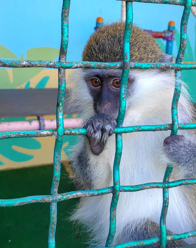 Photograph by Евгений Симион