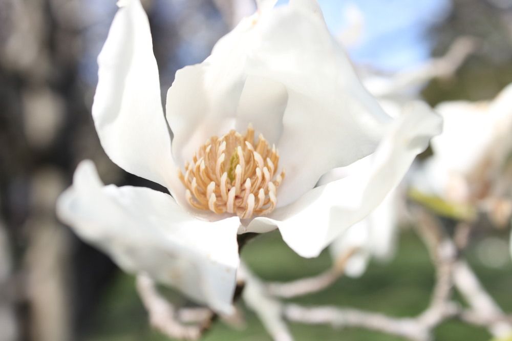 Photograph by Глеб Мацак