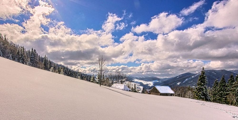 Photograph by Фаина Зеленая