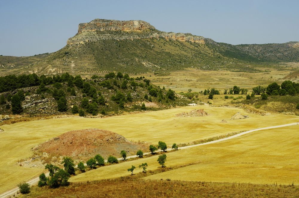 Photograph by Alexandr Bushmelev