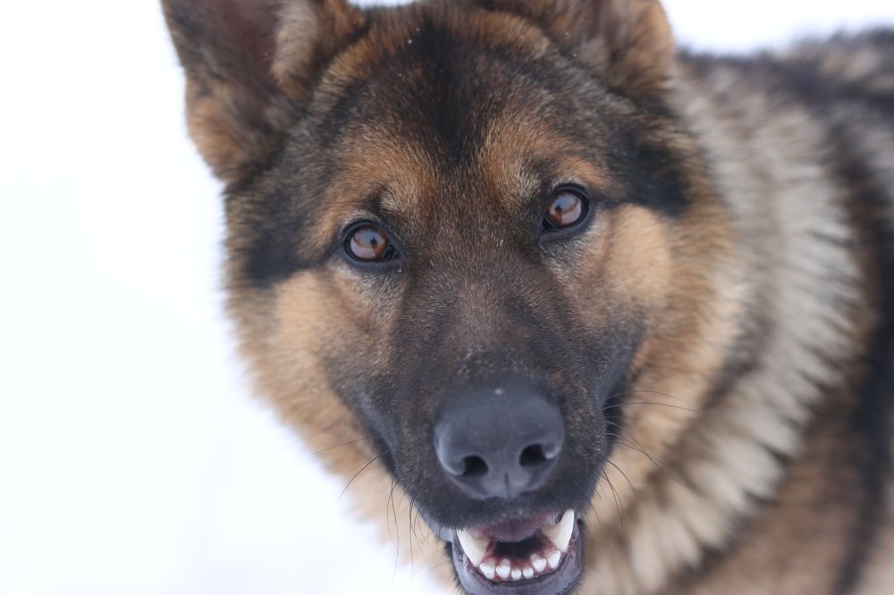 Фотография автора Stanislav Kompaniiets