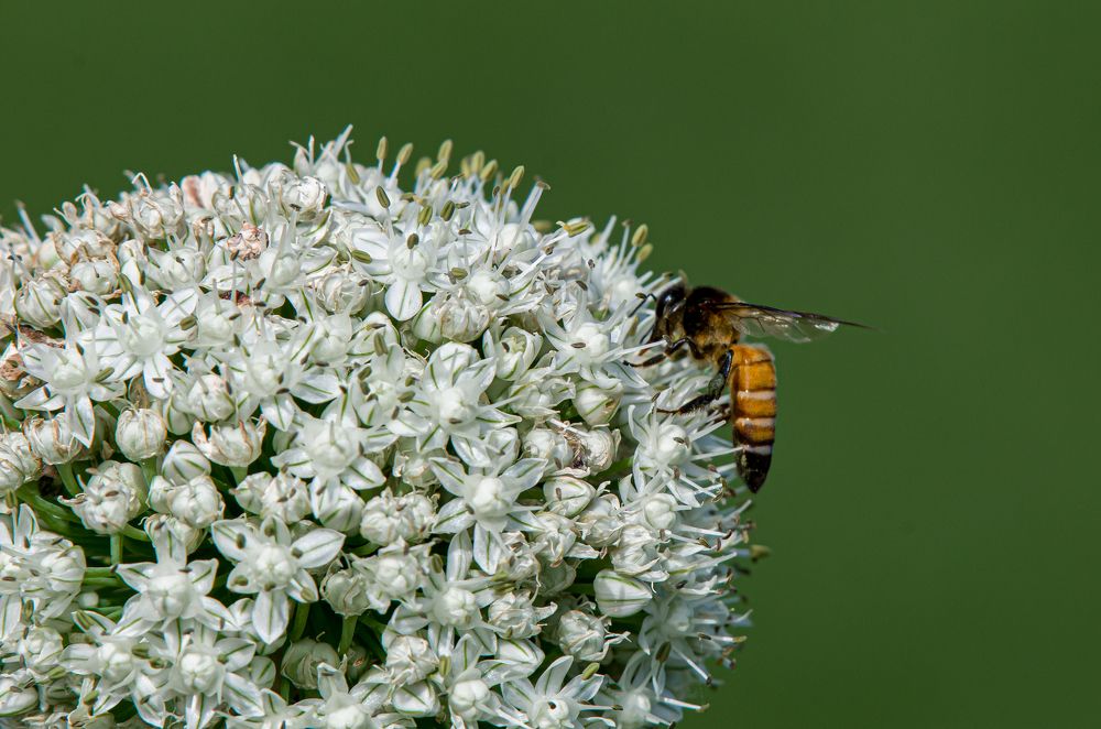 Photograph by Kshitij Patle