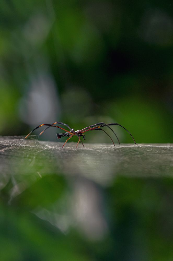 Photograph by Kshitij Patle