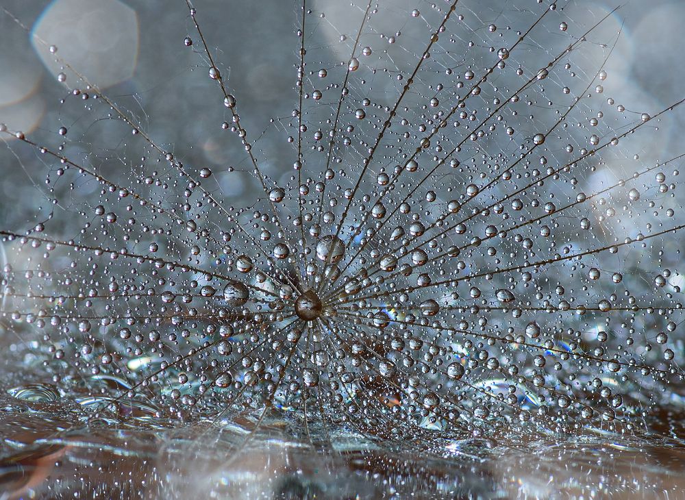 Photograph by Таня  Маркова