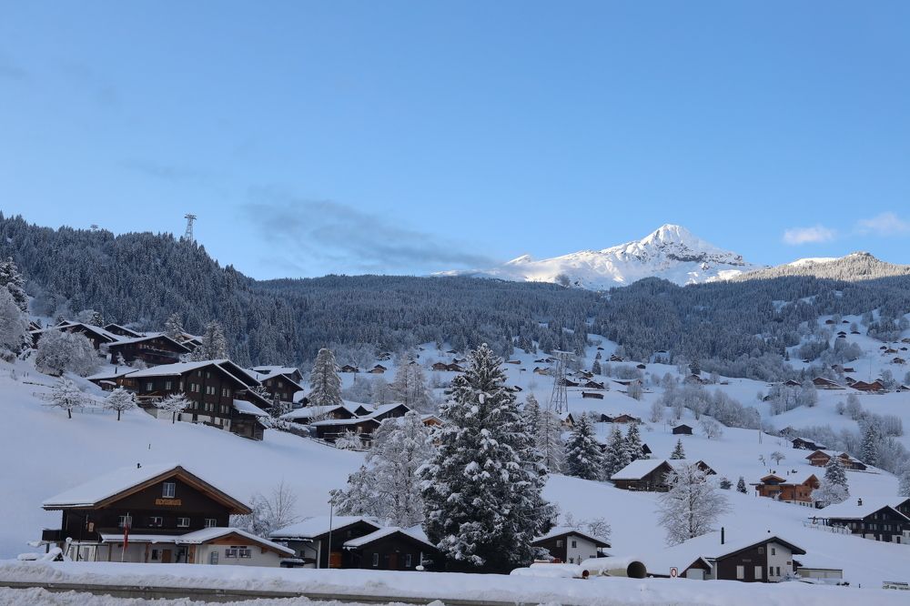 Фотография автора Pradeep Plaha