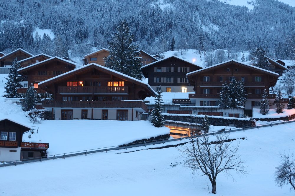 Фотография автора Pradeep Plaha