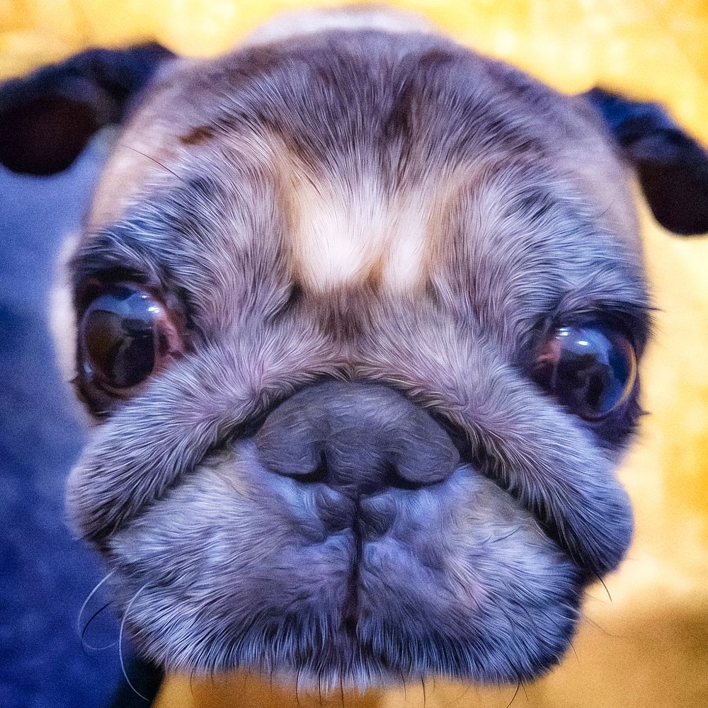 Photograph by Tatyana Romanova