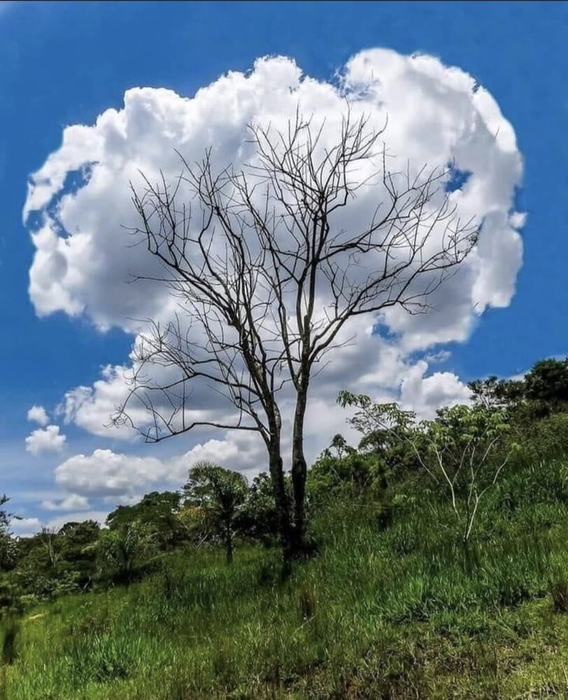 Sky never lies