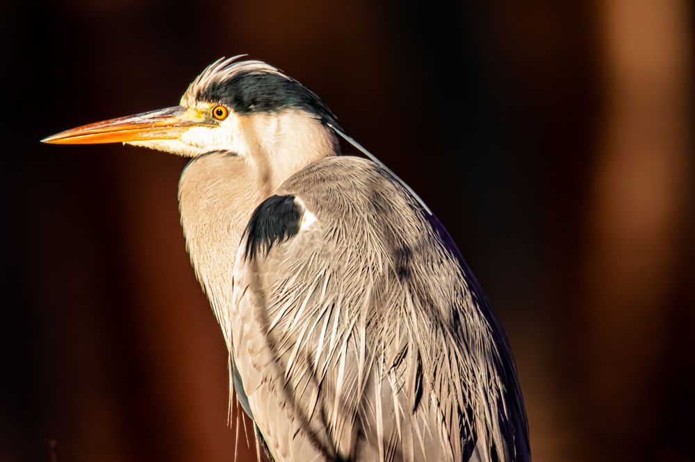 Photograph by Ellen Lichtenheldt