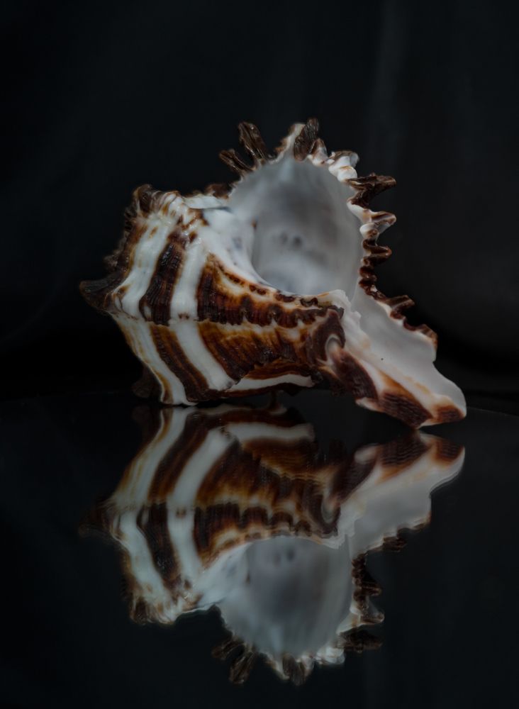 Photograph by Алексей Крукович