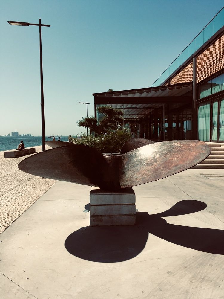 Photograph by Luís Damas