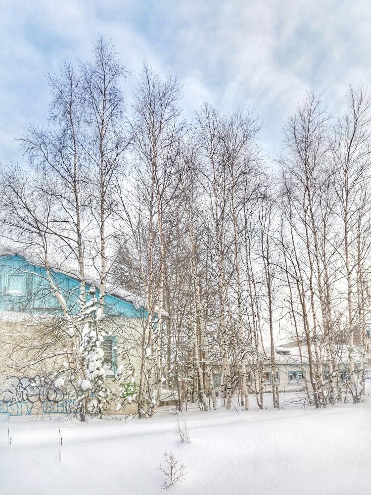 Photograph by Инна Соловей