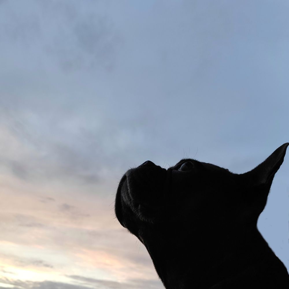 Photograph by Любовь Константиниди