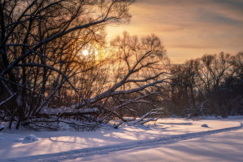 Photograph by Алена Устинович
