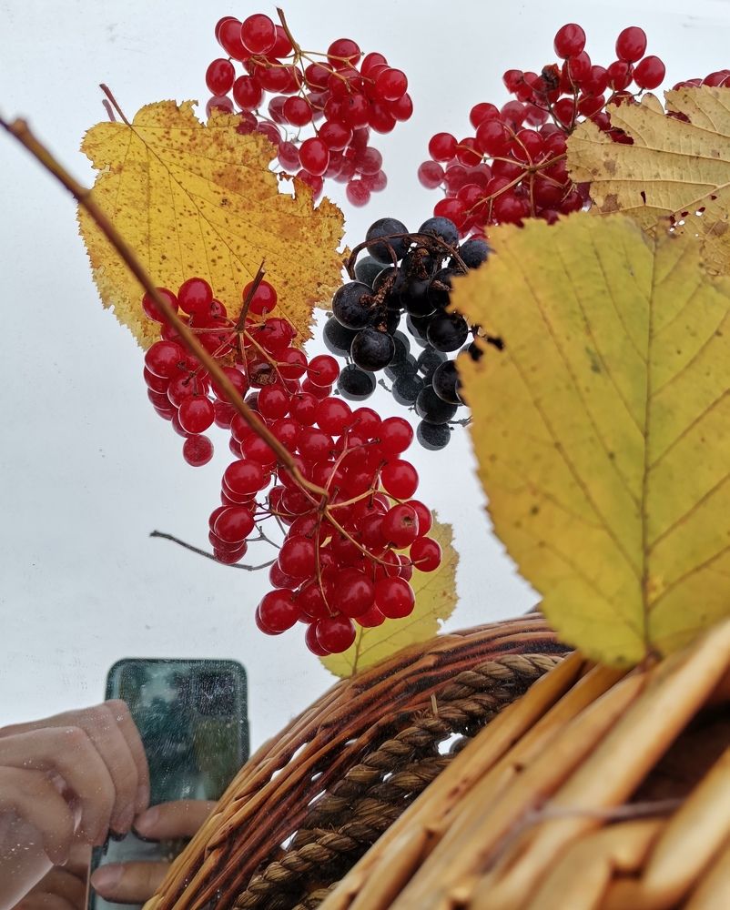 Photograph by Екатерина Исаева