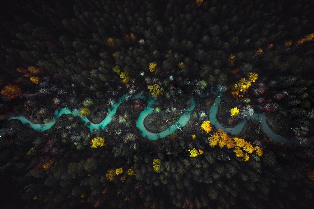 Photograph by Vladimir Golubev