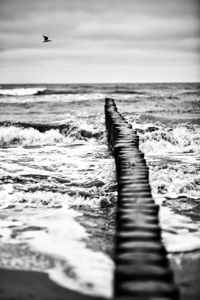 Photograph by 