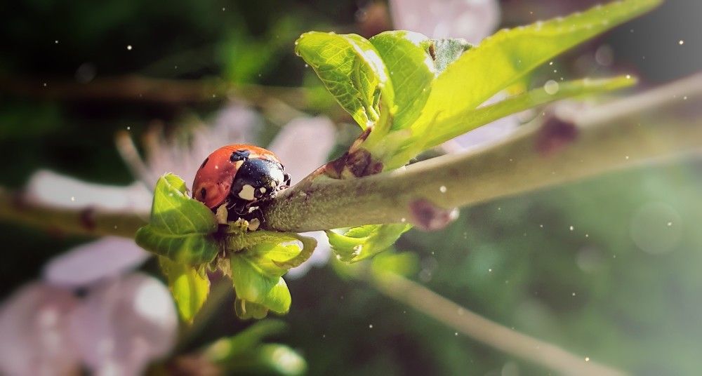 Photograph by Темур Талипов