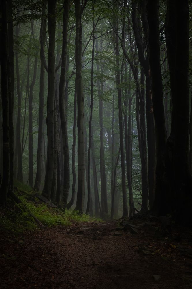 Photograph by Wiktor Kulesa