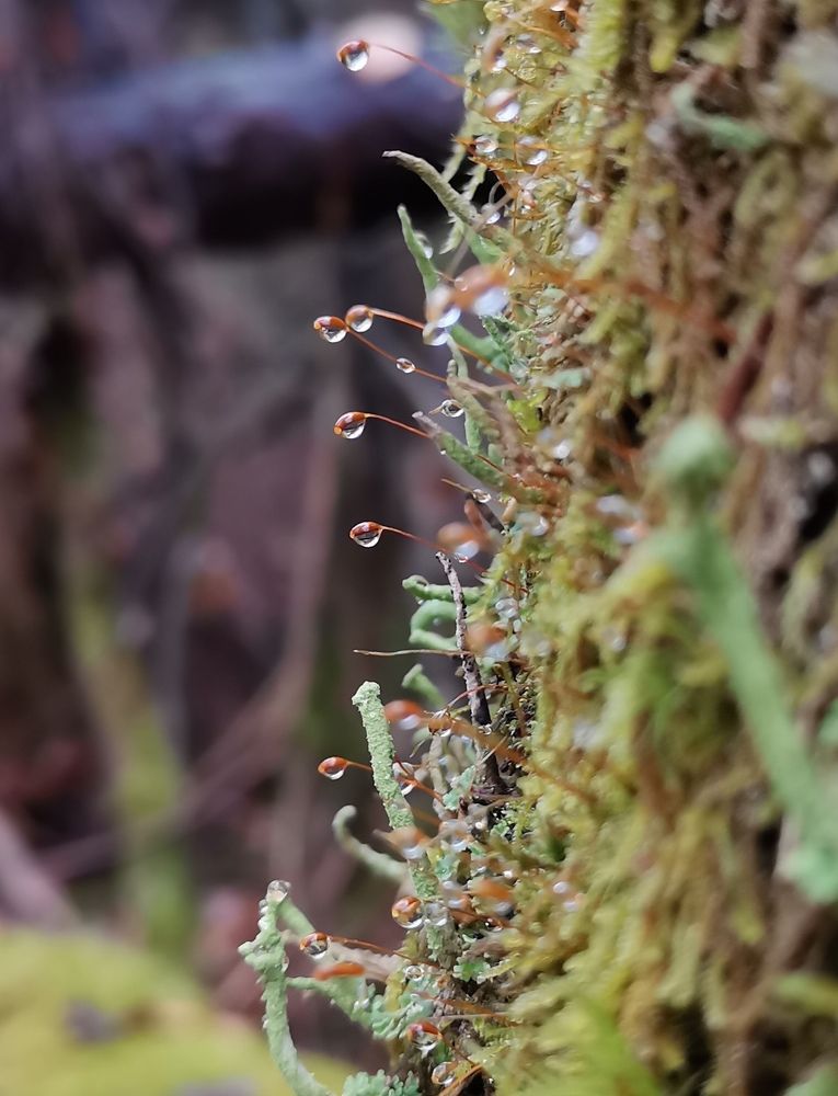 Photograph by Екатерина Исаева