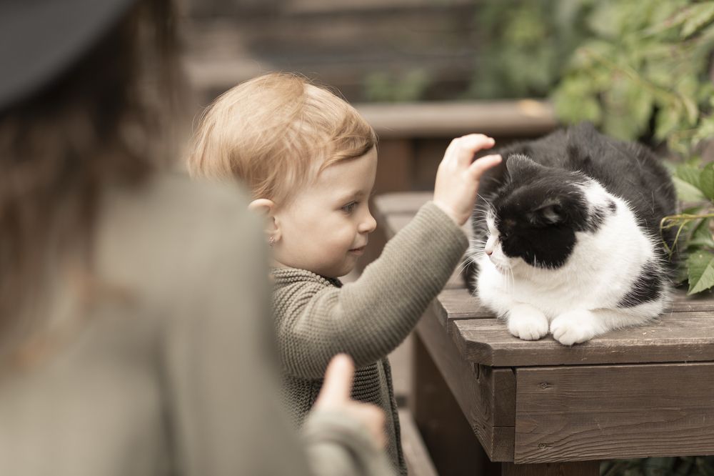 Photograph by Полина Данилова