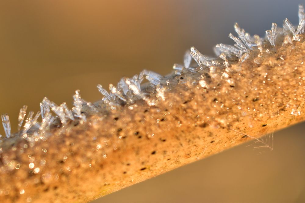 Photograph by Елена Антонова