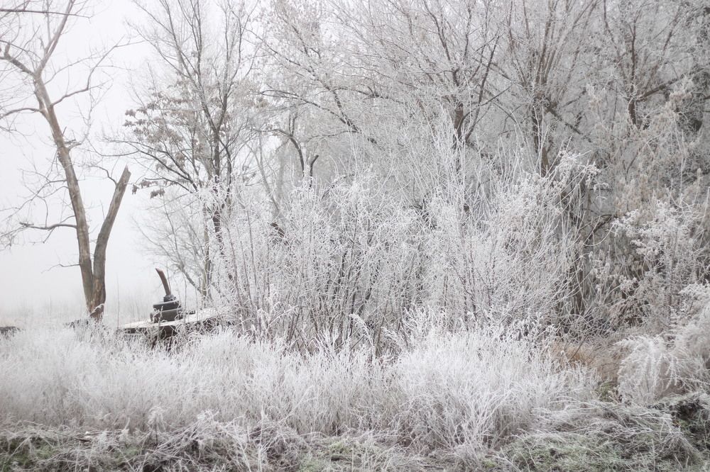 Photograph by Глеб Мацак