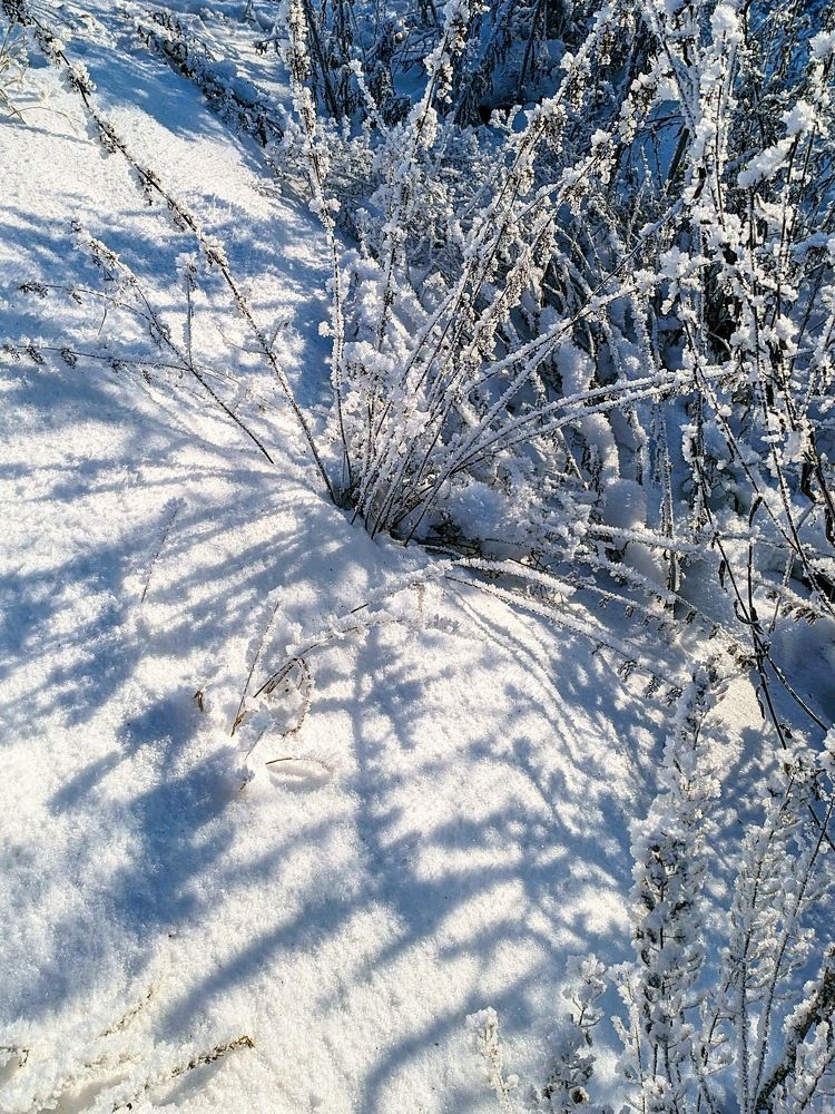 Photograph by Сергей Забиякин