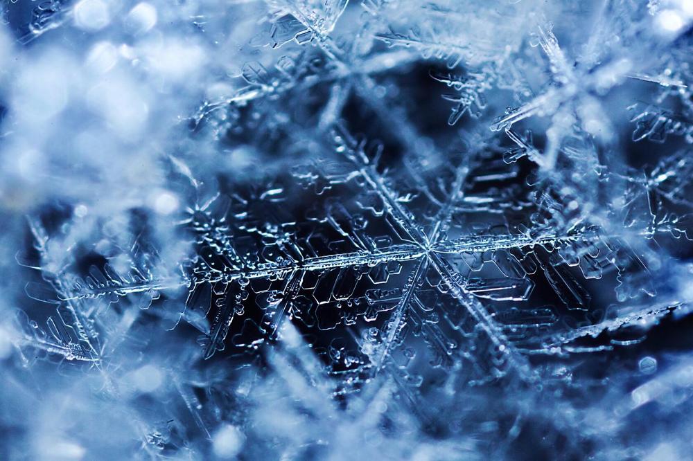 Photograph by Алексей Ловцов