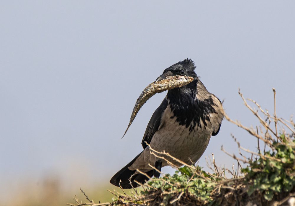 Photograph by Валентина Лопаткина