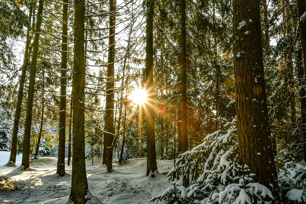 Photograph by AVIC A.M.