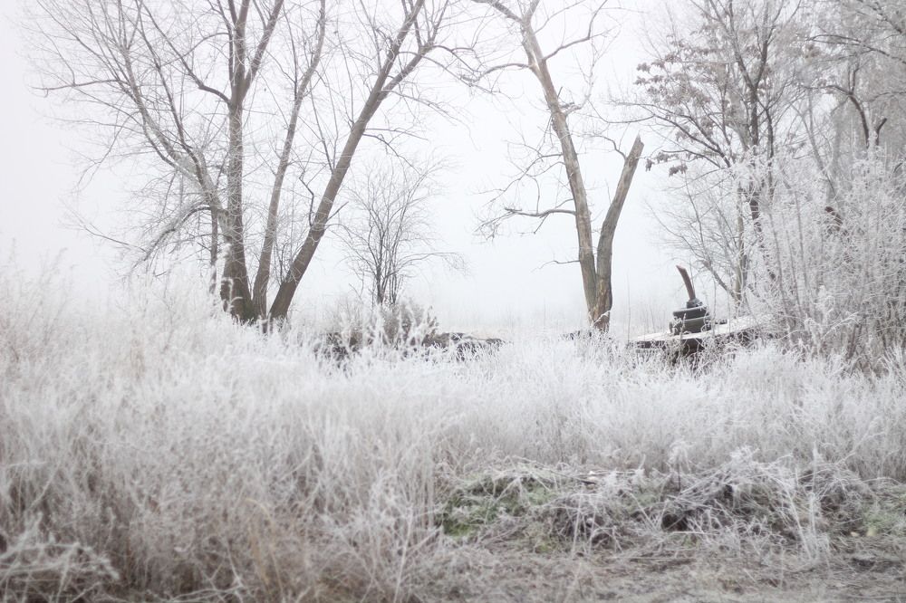 Photograph by Глеб Мацак