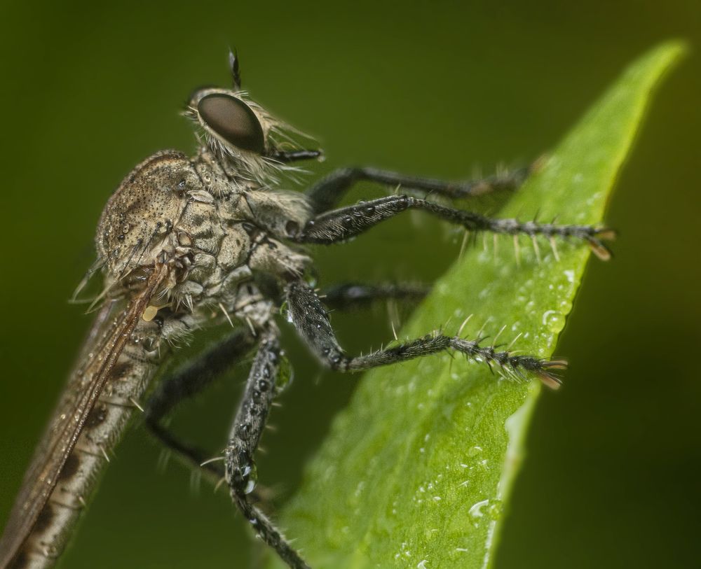 Photograph by M Y Dogar