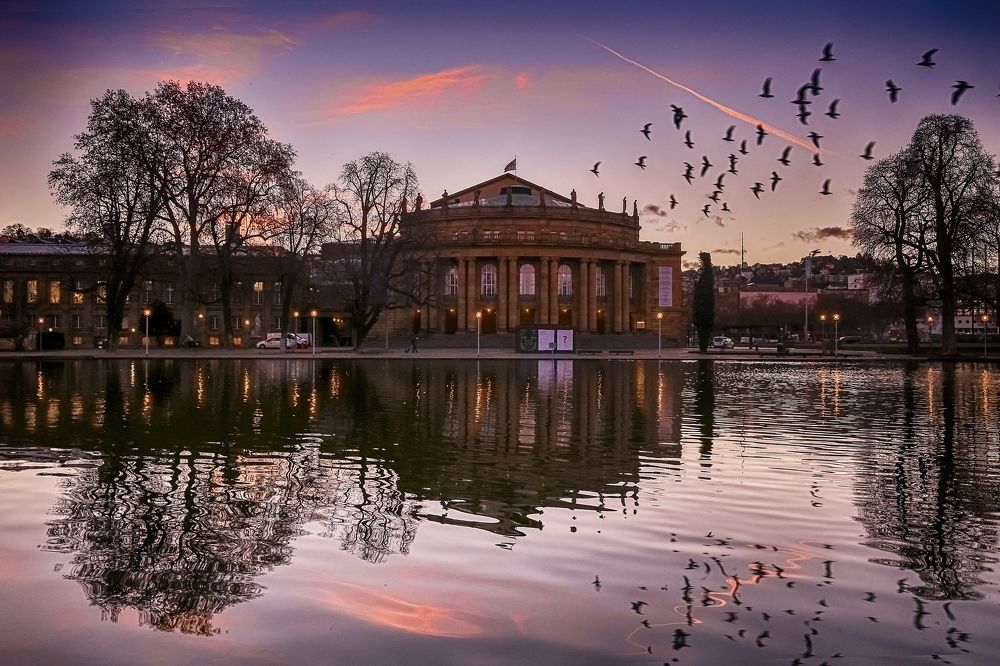 Photograph by Elena Gebert