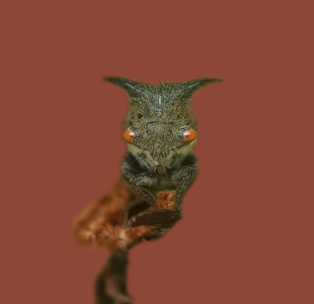 Photograph by M Y Dogar