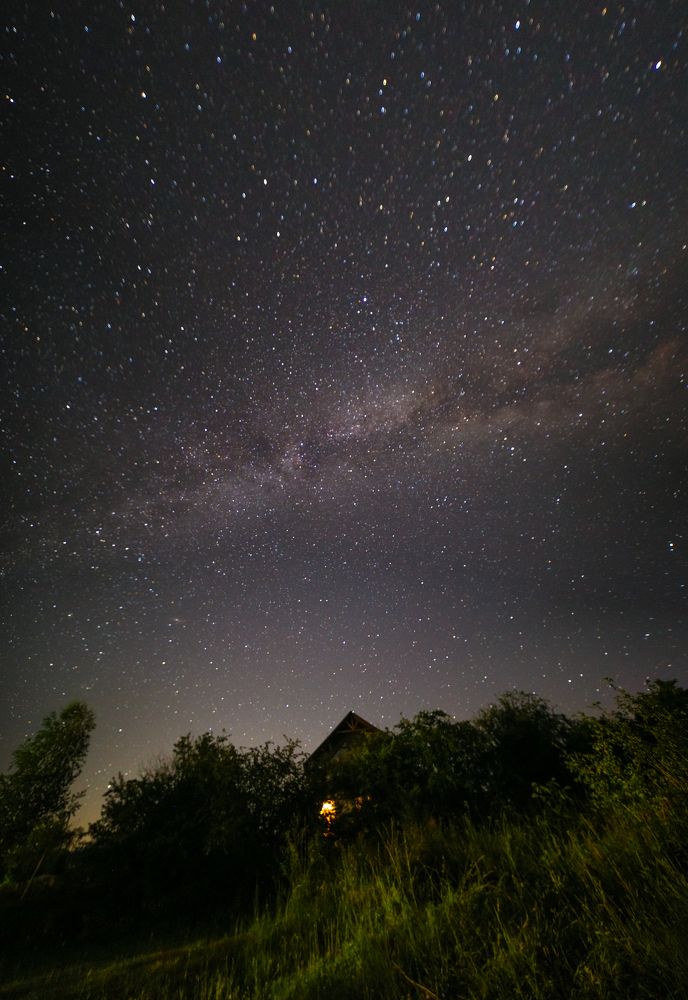 Photograph by Tatiana Kravchuk