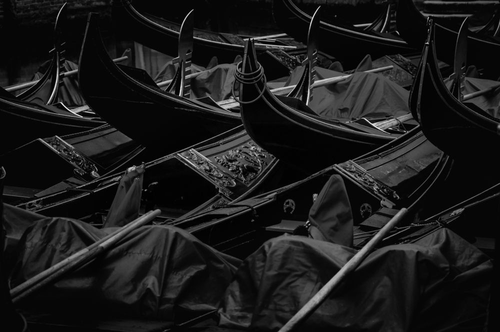 Photograph by Carl Morgan