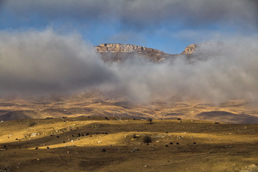 Photograph by Андрей Бычков